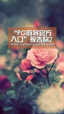 PG麻将官方入口