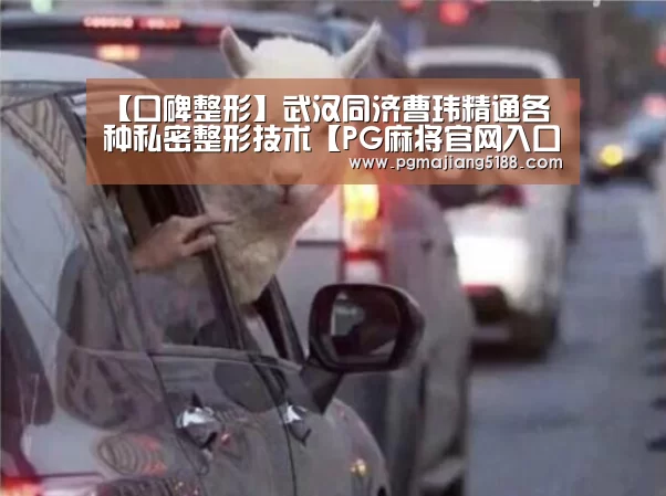 PG麻将官方入口